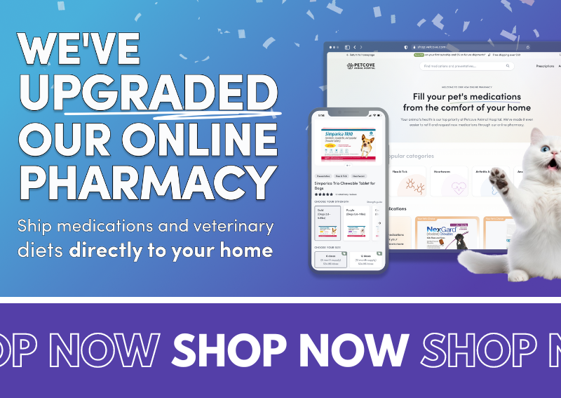 Carousel Slide 3: Visit our new and improved online pet pharmacy!